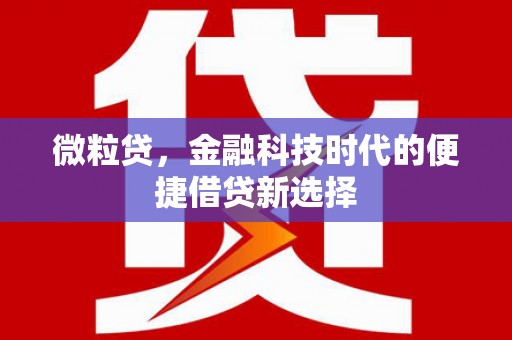 额敏微粒贷，金融科技时代的便捷借贷新选择