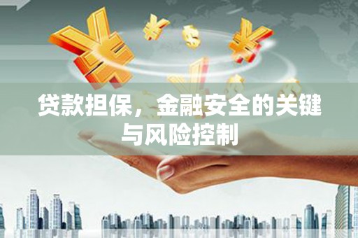 额敏贷款担保，金融安全的关键与风险控制