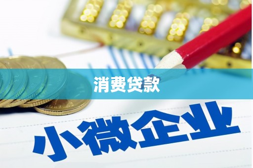 额敏消费贷款