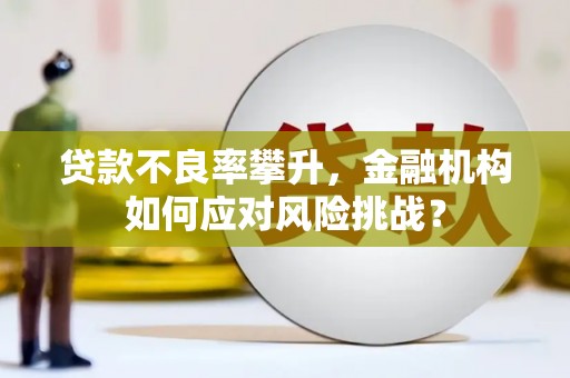 额敏贷款不良率攀升，金融机构如何应对风险挑战？