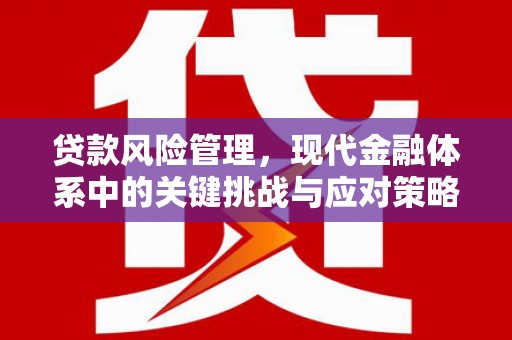 额敏贷款风险管理，现代金融体系中的关键挑战与应对策略