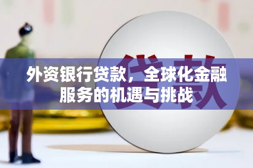 额敏外资银行贷款，全球化金融服务的机遇与挑战