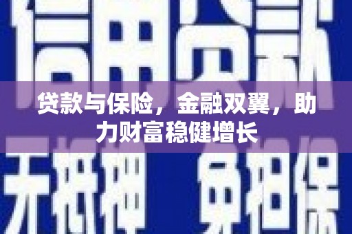 额敏贷款与保险，金融双翼，助力财富稳健增长