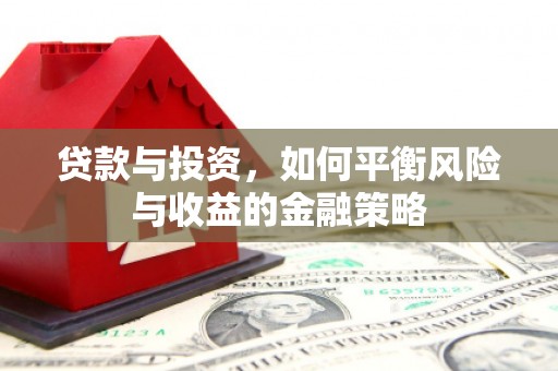 额敏贷款与投资，如何平衡风险与收益的金融策略