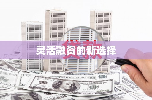 额敏灵活融资的新选择