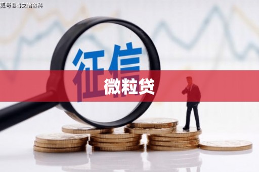 额敏微粒贷