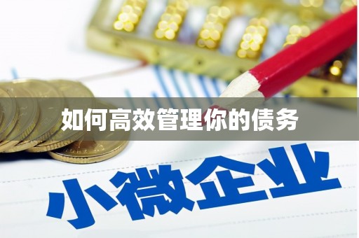 额敏如何高效管理你的债务
