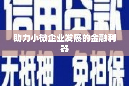 额敏助力小微企业发展的金融利器