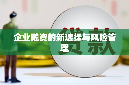 额敏企业融资的新选择与风险管理