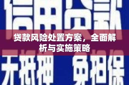 额敏贷款风险处置方案，全面解析与实施策略